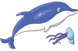 DELFIN  S - 70 x 50 cm.