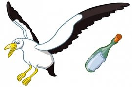 MEWA   S  - 70 x 50 cm.