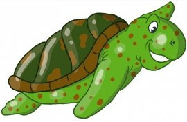 ŻÓŁWIK  S  - 70 x 50 cm.