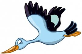 BOCIAN  S - 70 x 50 cm.