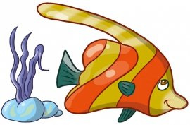 KIRYSEK  S  - 70 x 50 cm.