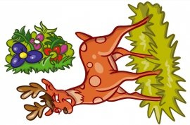 JELONEK  S  - 70 x 50 cm.